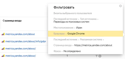 Окно «Фильтровать» в строке записи: источник, местоположение, браузер, страница входа выбранного визита